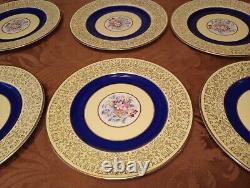 Set Of 12 Pareek Johnson Bros England Dinner Plates 10.5 Cobalt Floral Yellow