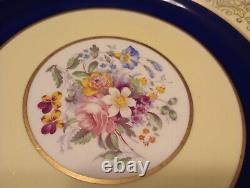 Set Of 12 Pareek Johnson Bros England Dinner Plates 10.5 Cobalt Floral Yellow