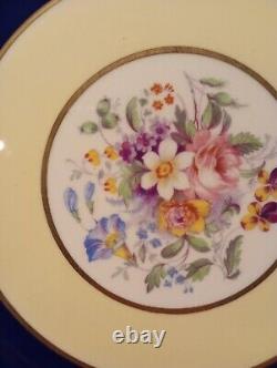 Set Of 12 Pareek Johnson Bros England Dinner Plates 10.5 Cobalt Floral Yellow