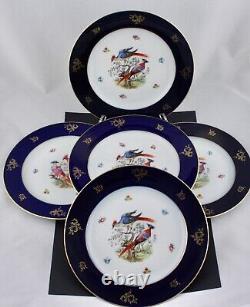 Set Of 5 Bavaria Bird Of Paradise Cobalt Blue With Gold Dinner Plates Mint