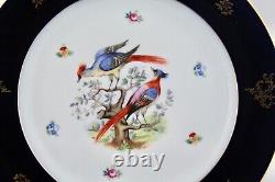 Set Of 5 Bavaria Bird Of Paradise Cobalt Blue With Gold Dinner Plates Mint