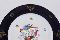 Set Of 5 Bavaria Bird Of Paradise Cobalt Blue With Gold Dinner Plates Mint