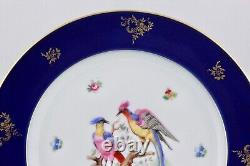 Set Of 5 Bavaria Bird Of Paradise Cobalt Blue With Gold Dinner Plates Mint