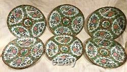 Set Of 6 MID 19th Cent Rose Medallion 8 Dinner Plates Flowers Birds Butterflies