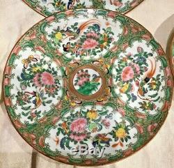 Set Of 6 MID 19th Cent Rose Medallion 8 Dinner Plates Flowers Birds Butterflies