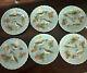 Set Of 7 Majolica Turquoise Bird Pattern Plates by Zell Germany