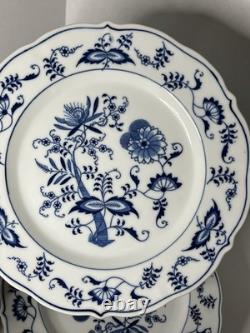 Set of 11 Blue Danube Blue Onion Mixed Ribbon Banner Marks Dinner Plates 10.25