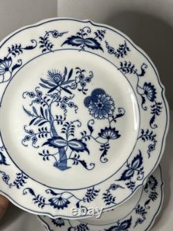 Set of 11 Blue Danube Blue Onion Mixed Ribbon Banner Marks Dinner Plates 10.25