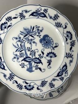 Set of 11 Blue Danube Blue Onion Mixed Ribbon Banner Marks Dinner Plates 10.25