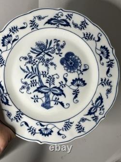 Set of 11 Blue Danube Blue Onion Mixed Ribbon Banner Marks Dinner Plates 10.25