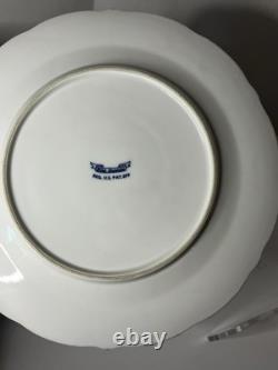 Set of 11 Blue Danube Blue Onion Mixed Ribbon Banner Marks Dinner Plates 10.25