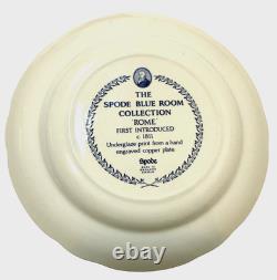 Set of 11 Spode The Blue Room Collection Dinner Plates 10 3/8