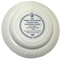 Set of 11 Spode The Blue Room Collection Dinner Plates 10 3/8