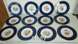 Set of 12 Vtg Copeland Spode Dinner Plates withFloral Sprays Cobalt Rim Y2876