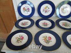 Set of 12 Vtg Copeland Spode Dinner Plates withFloral Sprays Cobalt Rim Y2876