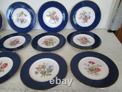 Set of 12 Vtg Copeland Spode Dinner Plates withFloral Sprays Cobalt Rim Y2876