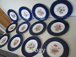 Set of 12 Vtg Copeland Spode Dinner Plates withFloral Sprays Cobalt Rim Y2876