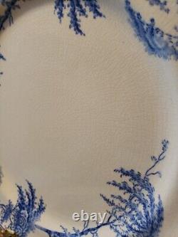Set of 5 Pottery Barn Blue & White Sophia Willow 10.5 inch Dinner Plates