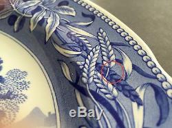 Set of 5 Spode Blue Room Collection 10½ Dinner Plates Traditions Series England