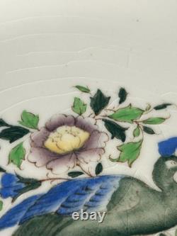 Set of 6 Royal Worcester Peacock Dinner Plates c. 1924 Very Rarely 9.25