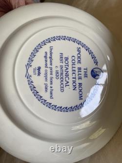 Set of 6 Spode Room Collection 10 Blue and White Pattern Plates New In Box