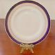 Set of 8 Royal Worcester Regency Blue Dinner Plate 10 7/8 Made in England