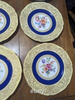 Set of 8 Tirschenreuth Bavaria Floral Dinner Plate Cobalt Blue Gold