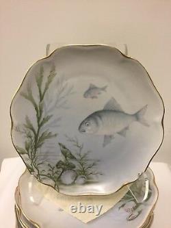 Set of Twelve Antique Rosenthal Porcelain Fish Plates