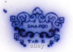 Shapoo Dinner Plate Flow Blue T & R Boote 9.5 in Antique 1842