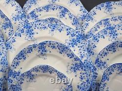 Shelley Dainty Blue DINNER set for 8 Gold Salad Bread Plate Blue Bone China