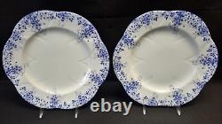 Shelley Dainty Blue Set of 4 Dinner Plates England Bone China