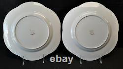 Shelley Dainty Blue Set of 8 Large Dinner Plates England Bone China