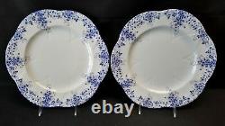 Shelley Dainty Blue Set of 8 Large Dinner Plates England Bone China