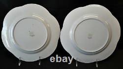 Shelley Dainty Blue Set of 8 Large Dinner Plates England Bone China