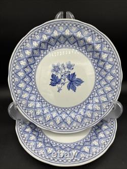Spode Blue Geranium 10.5 Dinner Plates Set Of 2 England Cottage Farm victorian