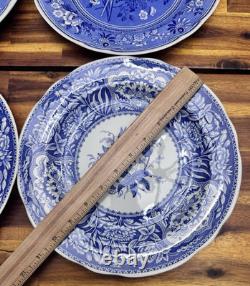 Spode Blue Room Dinner Plates Set of 5 Scalloped Edge, 10.25, England, Mint