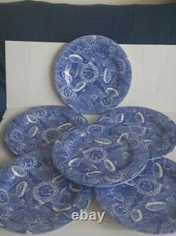 Spode Blue Room Sunflower Porcelain Made In England Six 11 Dinner Plate Set New