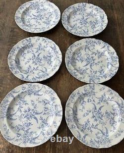 Spode PENNY LANE HONEYWALL WHITE Dinner plate, 10 1/4, S3737, England Pristine