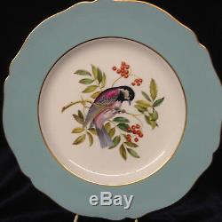 Spode Y6919 Dinner Plate 10 1/2 Light Blue Band Chestnut Backed Chickadee Bird