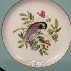 Spode Y6919 Dinner Plate 10 1/2 Light Blue Band Chestnut Backed Chickadee Bird