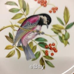 Spode Y6919 Dinner Plate 10 1/2 Light Blue Band Chestnut Backed Chickadee Bird