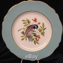 Spode Y6919 Dinner Plate 10 1/2 Light Blue Band Chestnut Backed Chickadee Bird