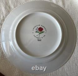 TIFFANY & Co. AMERICAN GARDEN Pattern Dinner Plate 10-7/8