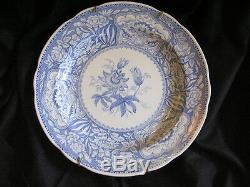 The Spode Blue Room Collection Of 11 Service Plates Size 10.5 11