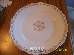 Theodore Haviland Limoges France 21 Piece Grouping Porcelain China Floral Design