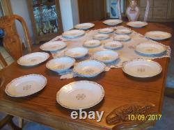 Theodore Haviland Limoges France 21 Piece Grouping Porcelain China Floral Design