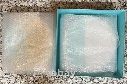 Tiffany And Co Dinner Plates Color Block Set Of 2 NEW 27 CM