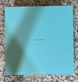 Tiffany And Co Dinner Plates Color Block Set Of 2 NEW 27 CM