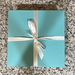 Tiffany And Co Dinner Plates Color Block Set Of 2 NEW 27 CM