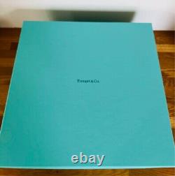 Tiffany & Co. Color Block Dinner Plate bowl